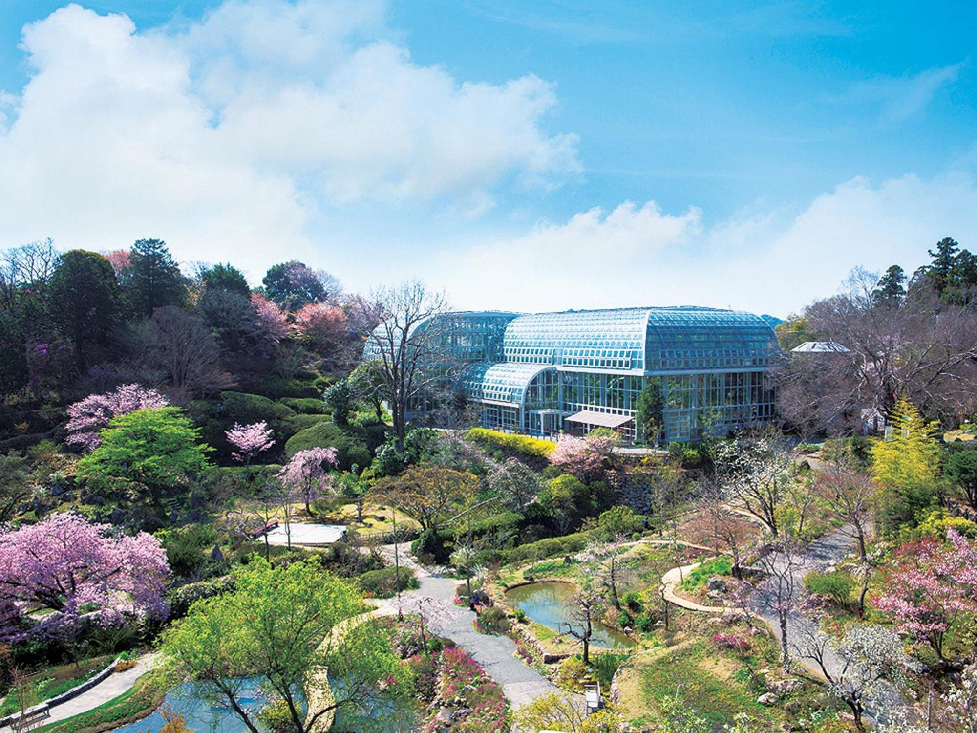 The Crown Palais New Hankyu Kochi Esterno foto